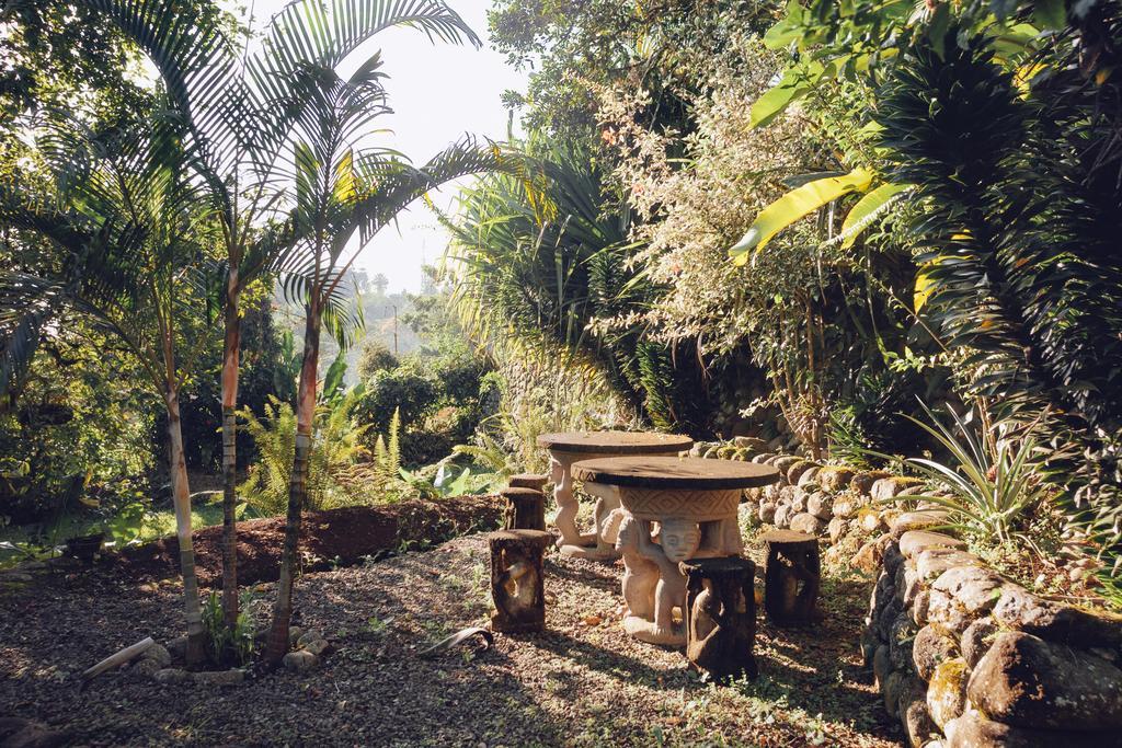 Spanish By The River - Turrialba Extérieur photo